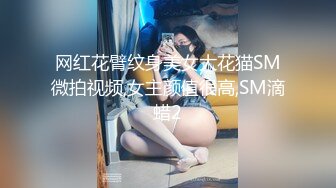 网红花臂纹身美女大花猫SM微拍视频,女主颜值很高,SM滴蜡2