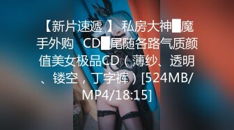 【新片速遞 】 私房大神█魔手外购☛CD█尾随各路气质颜值美女极品CD（薄纱、透明、镂空，丁字裤）[524MB/MP4/18:15]