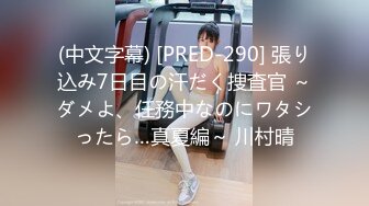 (中文字幕) [PRED-290] 張り込み7日目の汗だく捜査官 ～ダメよ、任務中なのにワタシったら…真夏編～ 川村晴