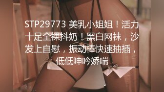 STP29773 美乳小姐姐！活力十足全裸抖奶！黑白网袜，沙发上自慰，振动棒快速抽插，低低呻吟娇喘