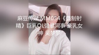 麻豆传媒 MM054《强制射精》巨乳OL强暴同事 豪乳女神 吴梦梦