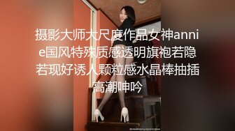 摄影大师大尺度作品女神annie国风特殊质感透明旗袍若隐若现好诱人颗粒感水晶棒抽插高潮呻吟