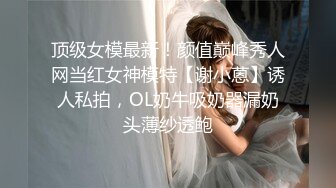 顶级女模最新！颜值巅峰秀人网当红女神模特【谢小蒽】诱人私拍，OL奶牛吸奶器漏奶头薄纱透鲍