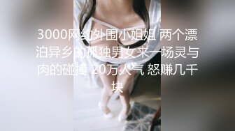 3000网约外围小姐姐 两个漂泊异乡的孤独男女来一场灵与肉的碰撞 20万人气 怒赚几千块