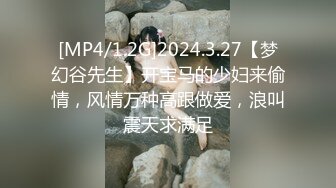 [MP4/1.2G]2024.3.27【梦幻谷先生】开宝马的少妇来偷情，风情万种高跟做爱，浪叫震天求满足