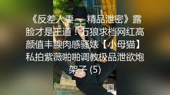 《反差人妻☀️精品泄密》露脸才是王道！万狼求档网红高颜值丰腴肉感骚婊【小母猫】私拍紫薇啪啪调教极品泄欲炮架子 (5)