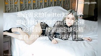 最近很火的Twitter知名户外露出网红FSS蜂鸟箱任务全裸从23楼到一楼到指定蜂鸟箱拿自慰棒到小区游乐场自慰