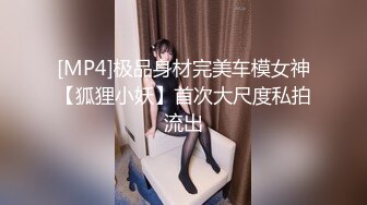 [MP4]极品身材完美车模女神【狐狸小妖】首次大尺度私拍流出