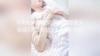 牛B大神商场女厕暗藏摄像头偷窥53位美女少妇嘘嘘 (14)