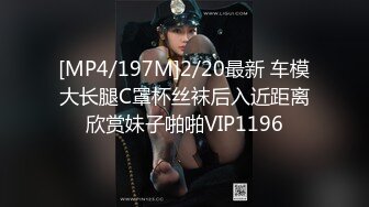 [MP4/197M]2/20最新 车模大长腿C罩杯丝袜后入近距离欣赏妹子啪啪VIP1196