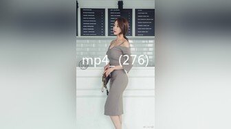 mp4_ (276)