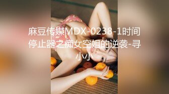 麻豆传媒MDX-0238-1时间停止器之痴女空姐的逆袭-寻小小