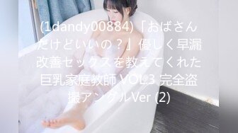 (1dandy00884)「おばさんだけどいいの？」優しく早漏改善セックスを教えてくれた巨乳家庭教師 VOL.3 完全盗撮アングルVer (2)