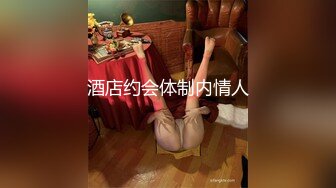 酒店约会体制内情人