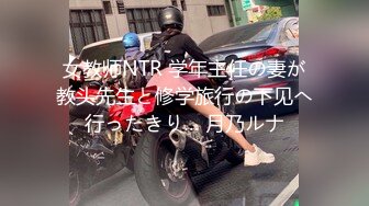 女教师NTR 学年主任の妻が教头先生と修学旅行の下见へ行ったきり… 月乃ルナ