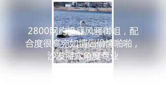 2800网约极品风骚御姐，配合度很高宛如情侣偷情啪啪，沙发掰穴角度专业