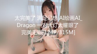 太完美了 满足幻想 AI绘画AI_Dragon 一对大灯太耀眼了 完美无瑕[124P/315M]