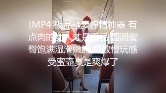 [MP4]极品骚妻榨精神器 有点肉的女人才是极品 圆润蜜臀饱满湿滑嫩鲍 极致慢玩感受蜜壶真是爽爆了