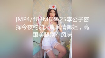 [MP4/483MB]9-25李公子密探今夜约啪大胸风情御姐，高跟美腿别有风味