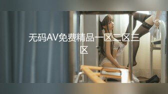 无码AV免费精品一区二区三区