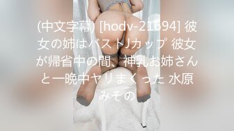 (中文字幕) [hodv-21694] 彼女の姉はバストJカップ 彼女が帰省中の間、神乳お姉さんと一晩中ヤリまくった 水原みその