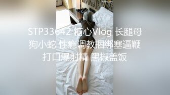 STP33642 糖心Vlog 长腿母狗小蛇 性瘾调教捆绑塞逼鞭打口爆射精 黑椒盖饭